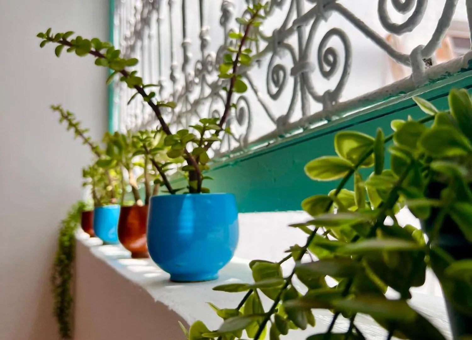 Riad Zwin Marrakech Marrakesz 0*,